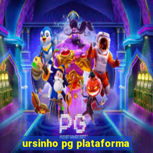 ursinho pg plataforma