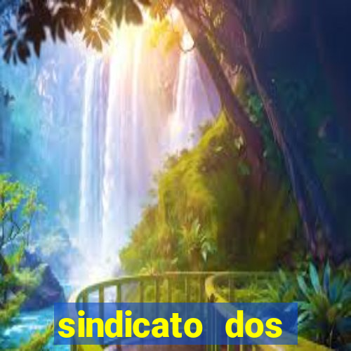 sindicato dos porteiros sp