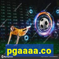 pgaaaa.co