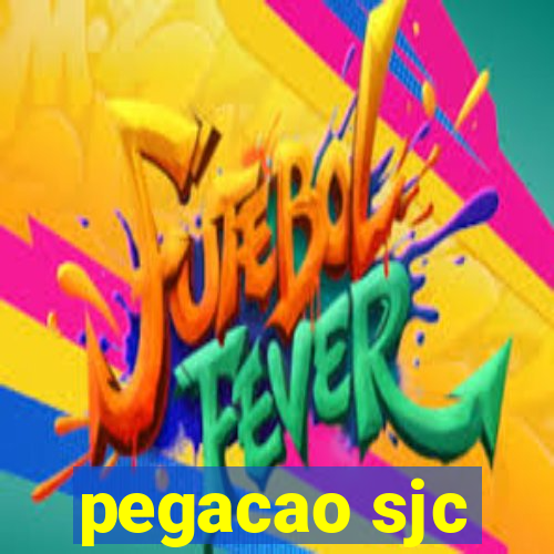 pegacao sjc