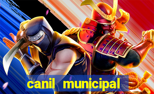 canil municipal porto alegre