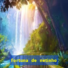 fortuna de netinho de paula