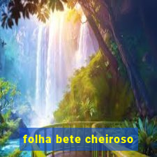 folha bete cheiroso