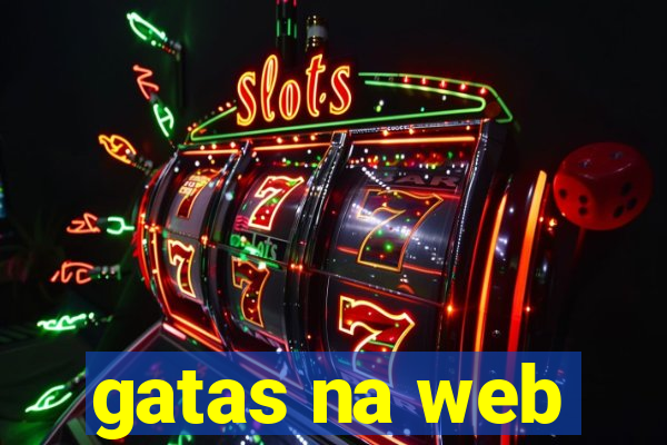 gatas na web