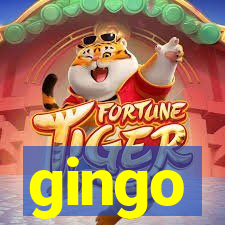 gingo