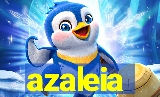 azaleia-br.com